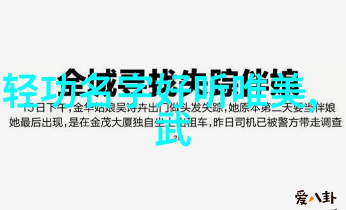 在历史上有没有过两种不同的中国十大最强武术标准和排名呢