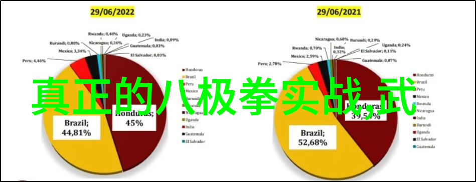 太极功夫的历史与文化源远流长的武学艺术