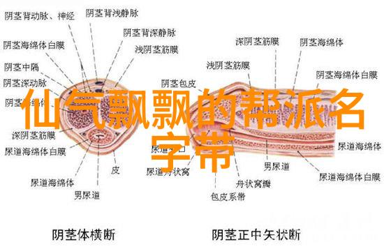 现代门派有哪些武侠世界中的流派分类