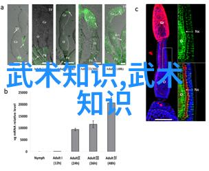 江湖风云门派纷争与武林兴衰