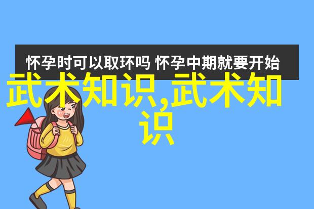 人物解密洪家拳内外五要之太极24式正反面技巧