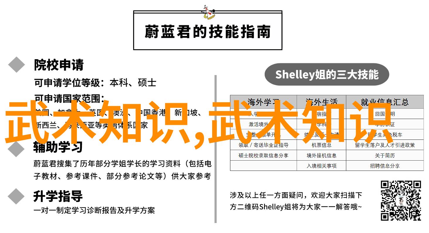 以女子为主的藏武门仿佛一位沉默的女将军守护着她那独特而深邃的拳种