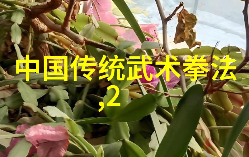 无论年龄如何始终年轻通过学习24式提升自身素质