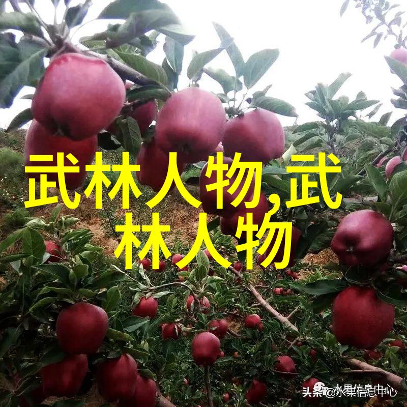 命运转折点如何选择一款符合你修炼道路的古风名字