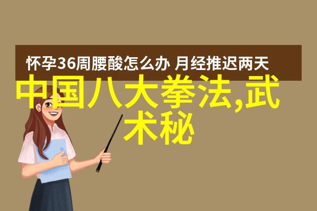 武林至尊之争揭秘世界上最强武功内家拳法与外门炼气的对决