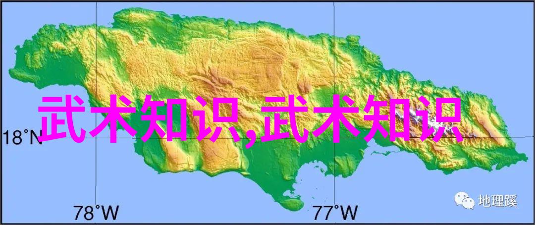 探索太极24式正面技巧与背面的奥秘