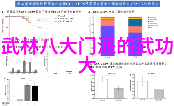 武功最全的神功秘籍-武林至尊解锁最强神功之谜