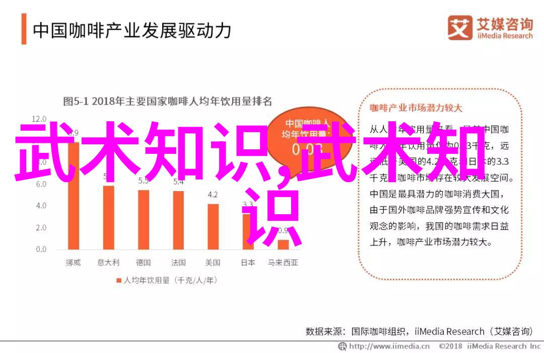 怎样才能练成功夫三皇炮捶拳肘法精选上