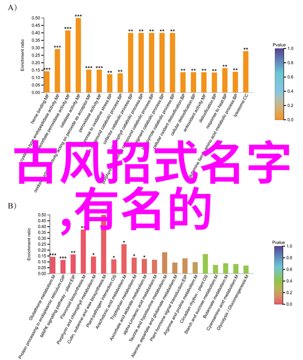 古风帮派五彩斑斓的江湖