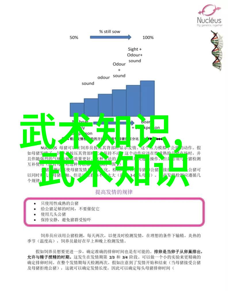 古今英雄传说评估各门派的成就与挑战