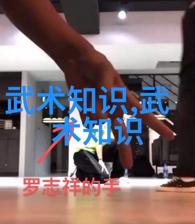 武功自学教学视频我是如何靠一部手机就学会了绝世神功的