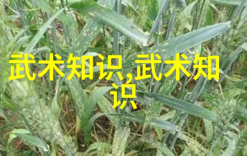 女生的帮派名字叫昆仑昆仑太极门拳道之巅的秘密传承