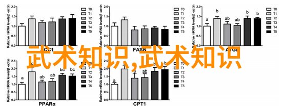 策略之冠风云诡谲的霸主征途