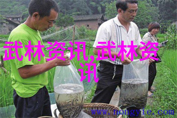 太极拳24式图解揭秘八极单式拳的精髓与实战技巧(下)