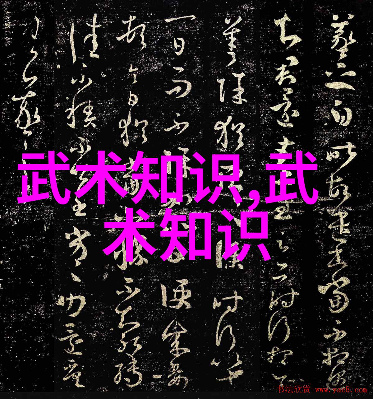 年轻人应该从事哪种类型的运动才能获得最佳效果健身还是学武术