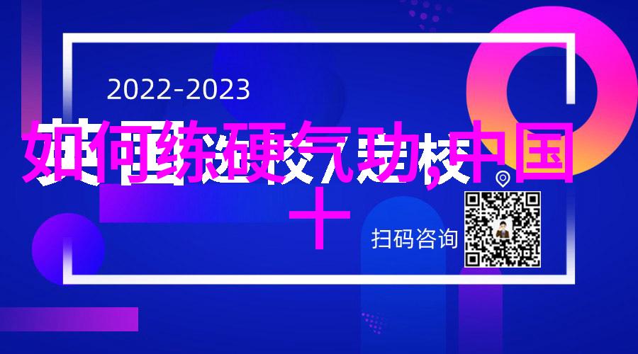 邱慧芳太极拳全套教学从基础到精进