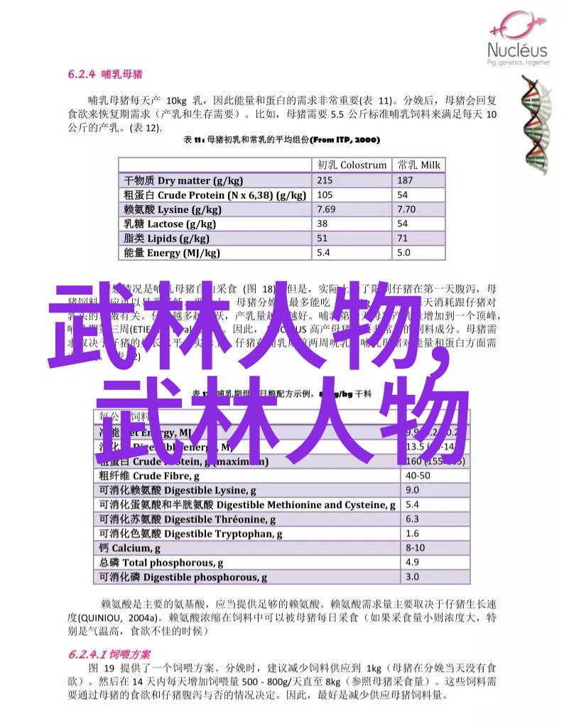 幻梦古帮时光隧道中的豪情与梦想