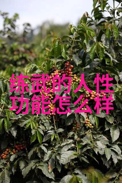 红拳文化探骊身法秘籍