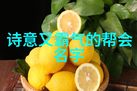 四个字帮派名诗意点的我要找个逆袭般的名字