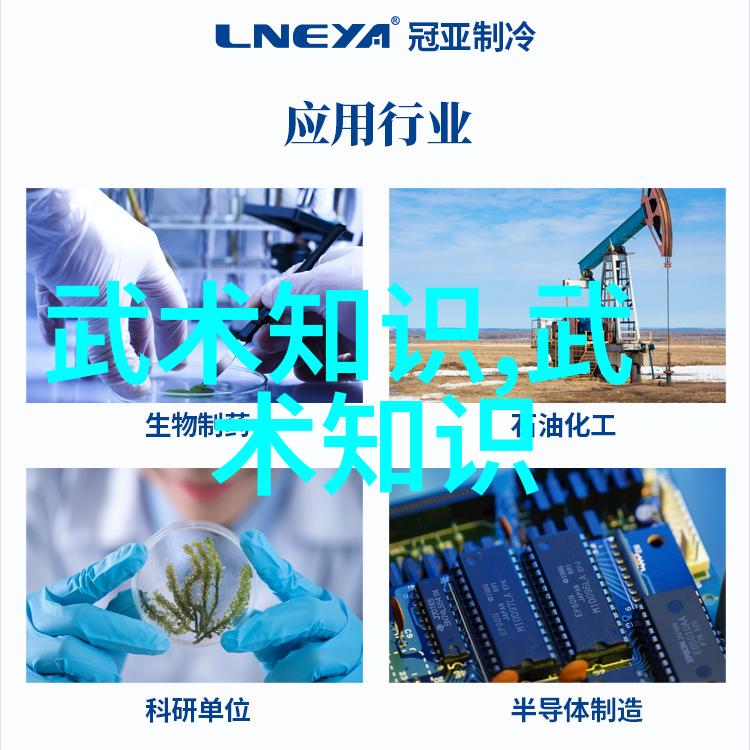 武林绝学有哪些-揭秘江湖神功武林绝学的传说与实力