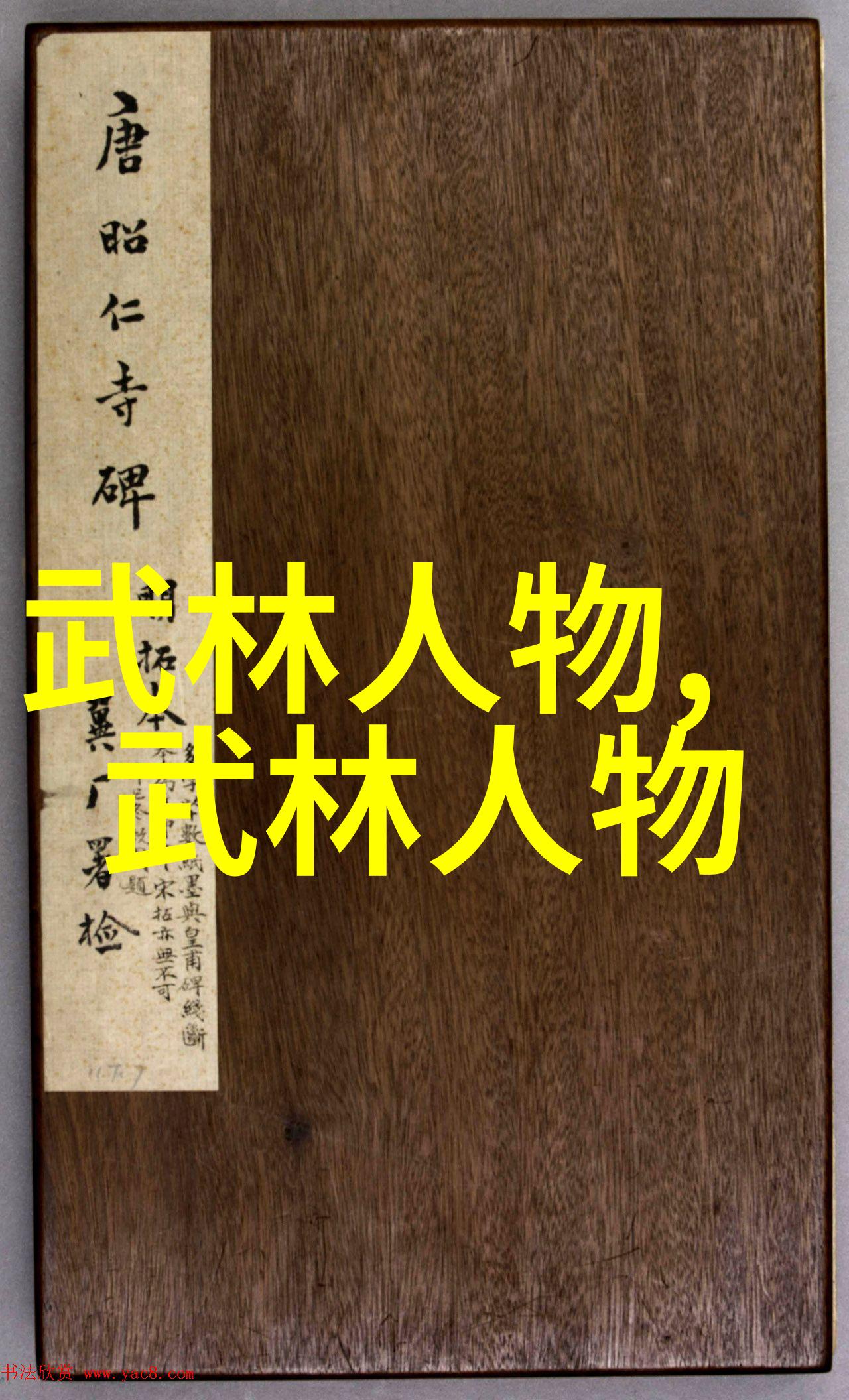 太极拳24式图解揭秘古老武术的内在奥义与实践技巧