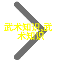 浅谈太极拳推手力学原理社会中功夫怎么练- 王巍堡