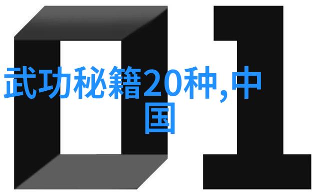 中国武术门派之巅峰内功外功与战略