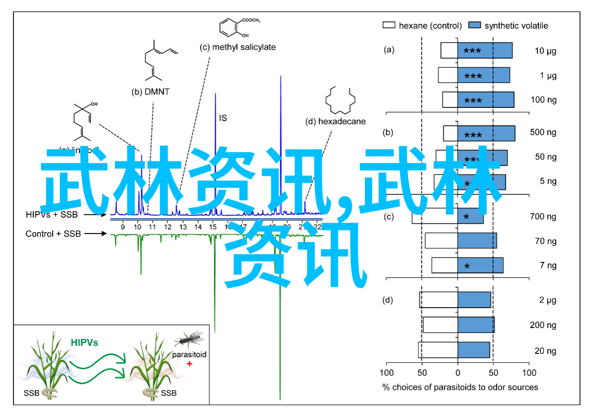 太極拳二十四勢動作教學腿部力量的運用與轉換