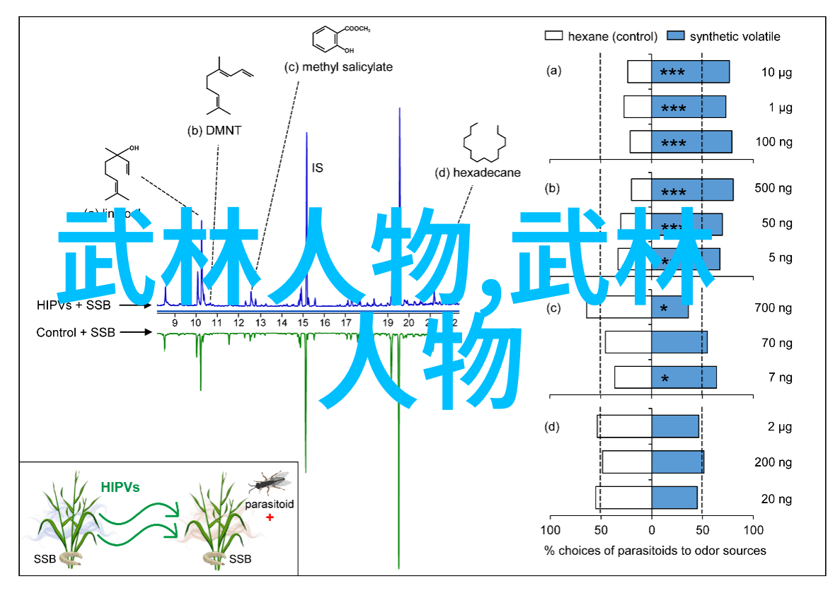 天风门寻踪古今最具意境的武学门派