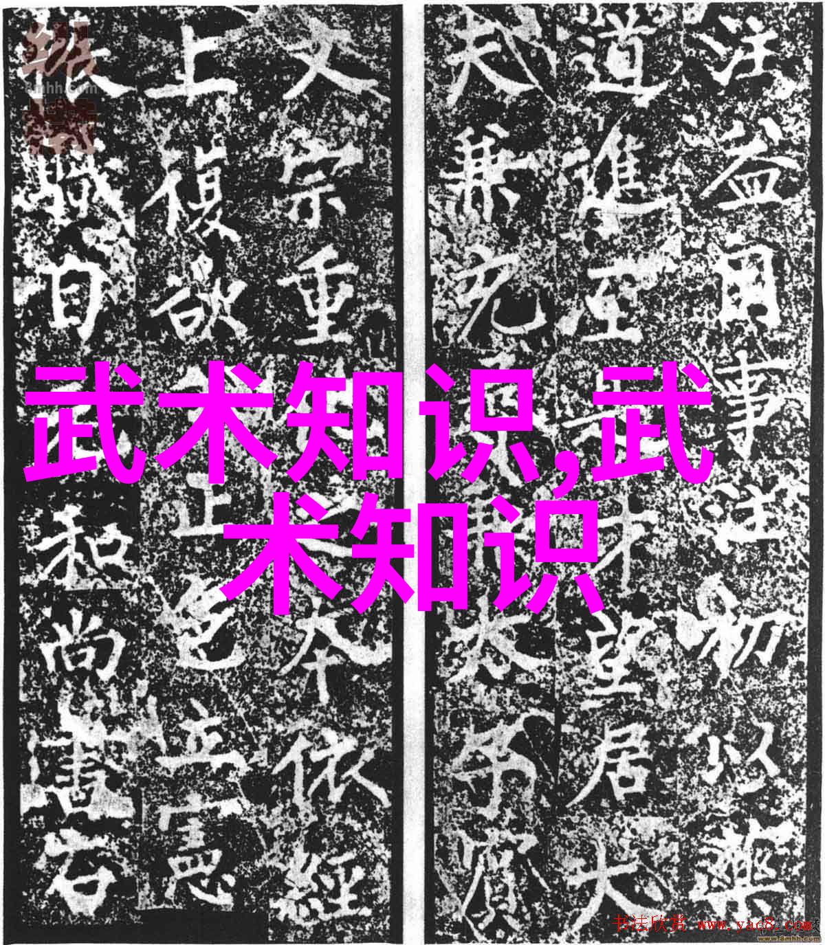 太极拳之哲学观伦理观及养生观在古代武功秘籍中的社会应用