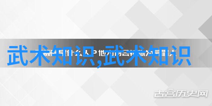 个人进阶计划 制定并跟踪自己的学习进度与目标设定