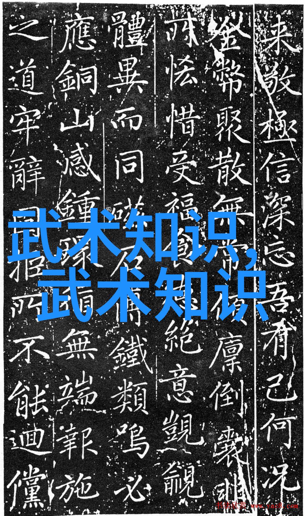 改善心灵与身体健康通过学习和练习太極二十四势