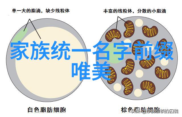 武术探秘-少林寺内最隐秘而强大的拳法寻踪无形之手