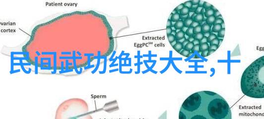 武林秘籍全集大洪拳三晃膀上