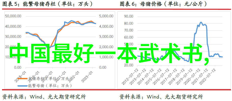 武术活动名称研究汇编探索传统与创新之境