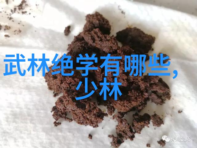 静中潜龙24式太极拳口诀探秘