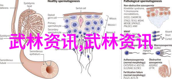 古刹幽梦云雾藏真