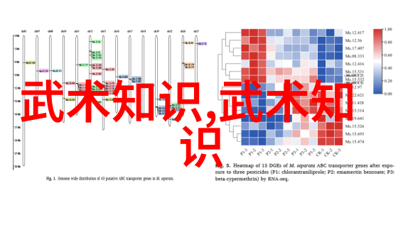 风云帮的辉煌传说