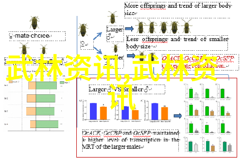 门派秘密崂山慈善门背后的武林16大门派之谜