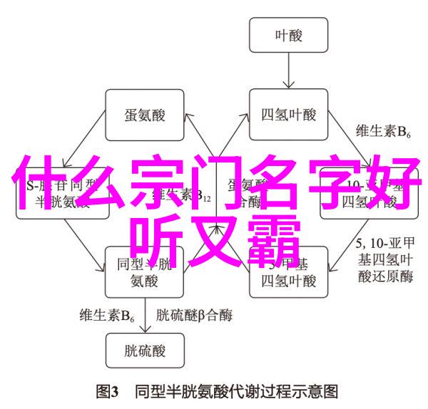 武林高手云集横练功夫新世代之争