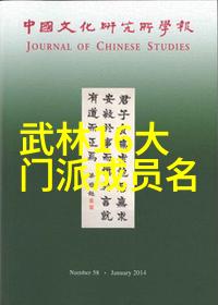 浅谈适合自学的武术入门四要素人物探索赵兵之道