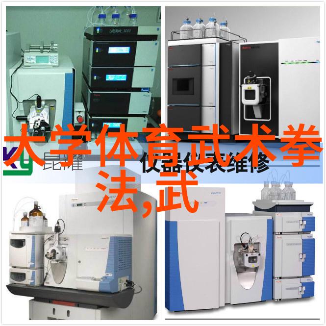 太极拳入门四十式动作视频解析与口令记忆