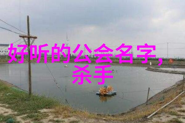 小说武林门派名字大全 - 秘境寻踪揭秘武林门派之谜