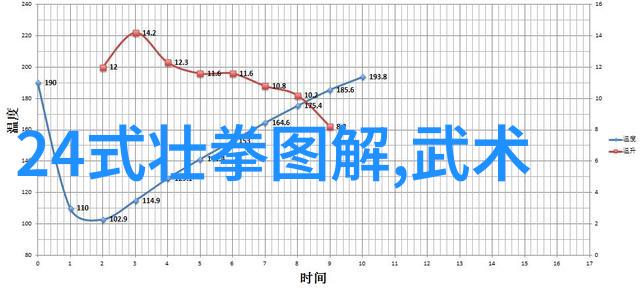 中国最有实战性的功夫太极拳五关必须过雷生霖的挑战