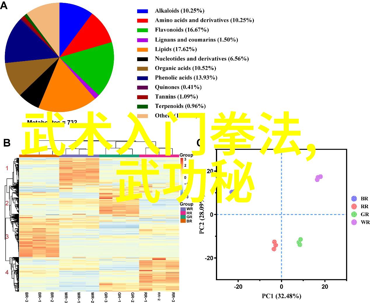 太极拳新解密从24式到笑声连环