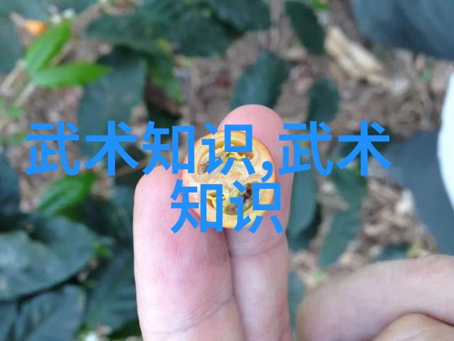 修真功法秘籍9000部 - 灵异藏书室揭秘千年修炼之谜