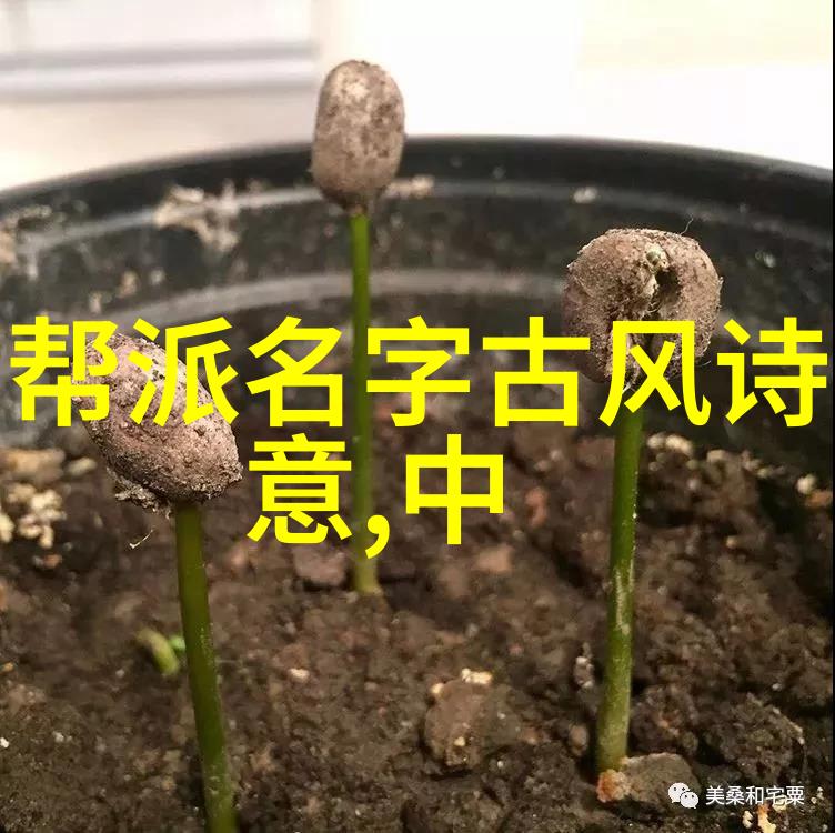 隐世秘籍仙门神功之传