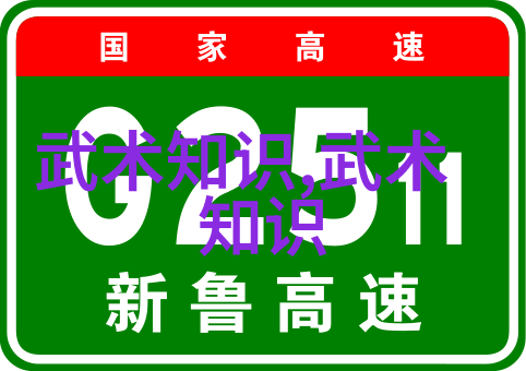 转身一跃挥拳一式初学者如何快速提升实战能力