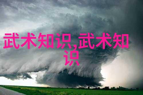 帮派名字大全-街头霸王探秘各地黑帮组织的秘密称呼