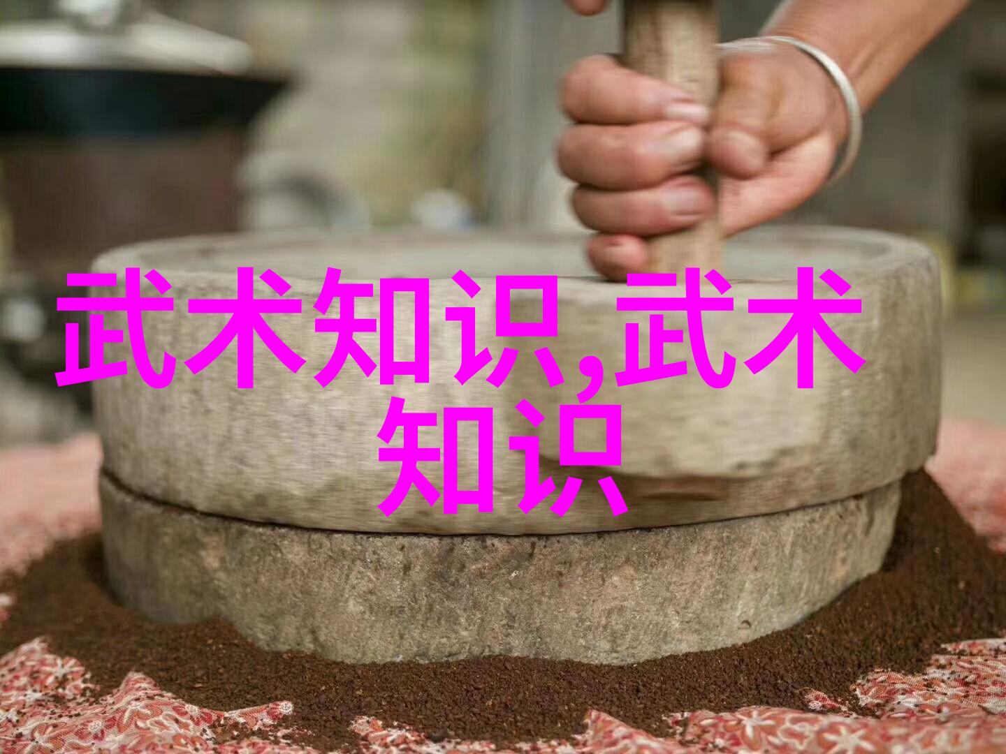 拳法世界揭秘中国传统拳艺的种类与特点